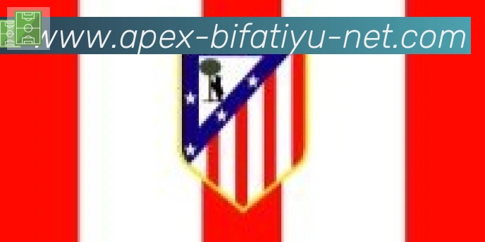 必发体育合作伙伴